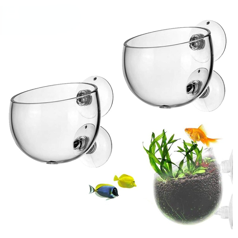Aquarium Planted Seeds - Pot Tanaman Akuarium Baru, Gelas Silinder