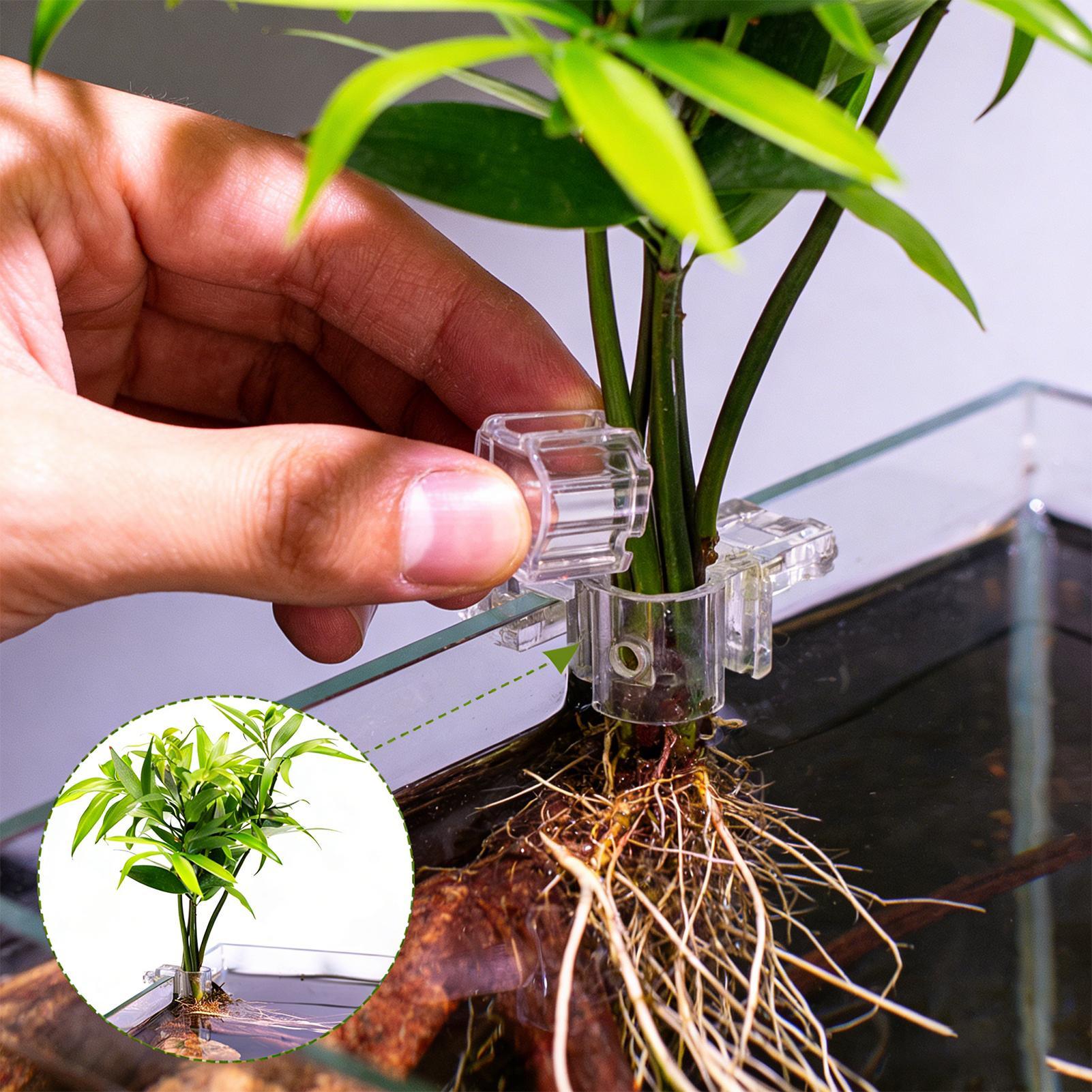 Planted Aquarium Mini - Pot Tanaman Mini untuk Akuarium 6Pcs,