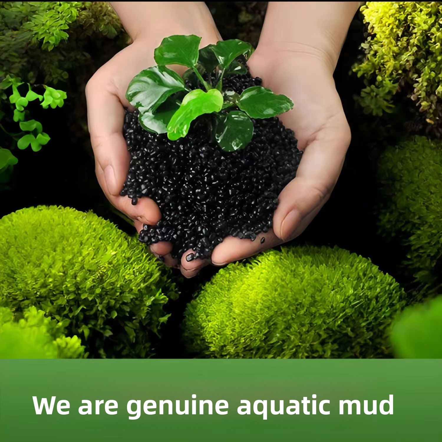 Tanah Liat Hitam untuk Dekoras - Aquarium Planted Sand ulasan dan harga