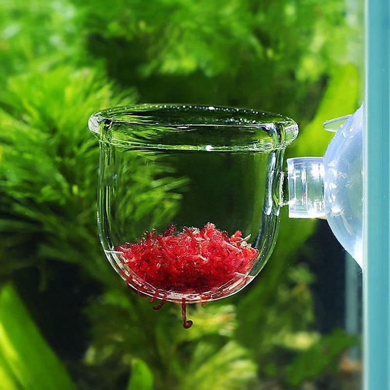 Cangkir tanaman akuatik akrili - Aquarium Planted Seeds ulasan dan harga