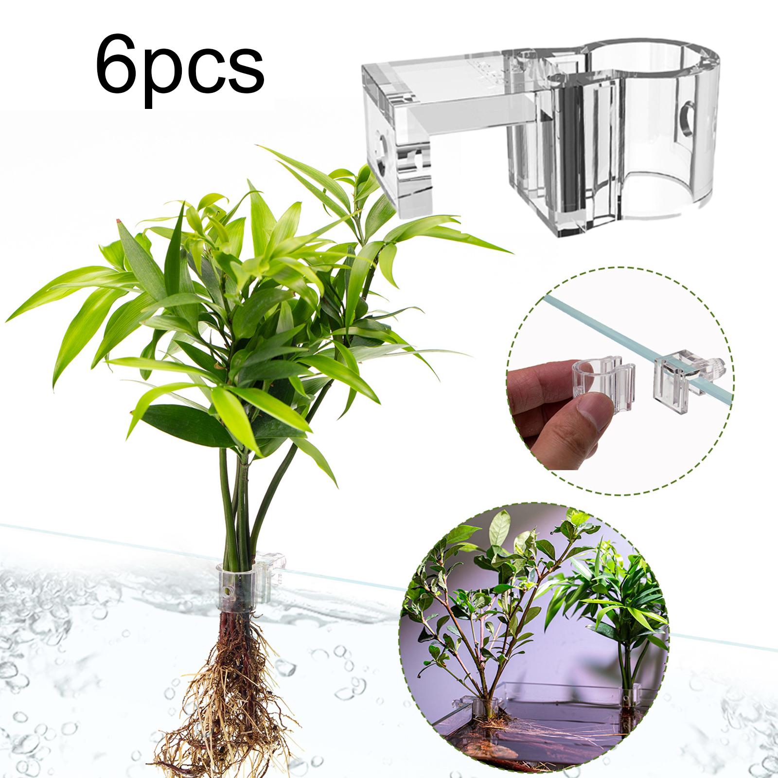 6 Buah Wadah Penyangga Tanaman - Planted Aquarium Mini ulasan dan harga