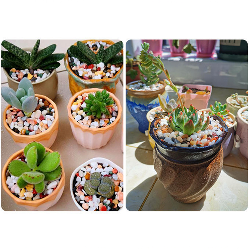 Aksesori DIY Pasir Dasar Tangk - Aquarium Planted Sand ulasan dan harga