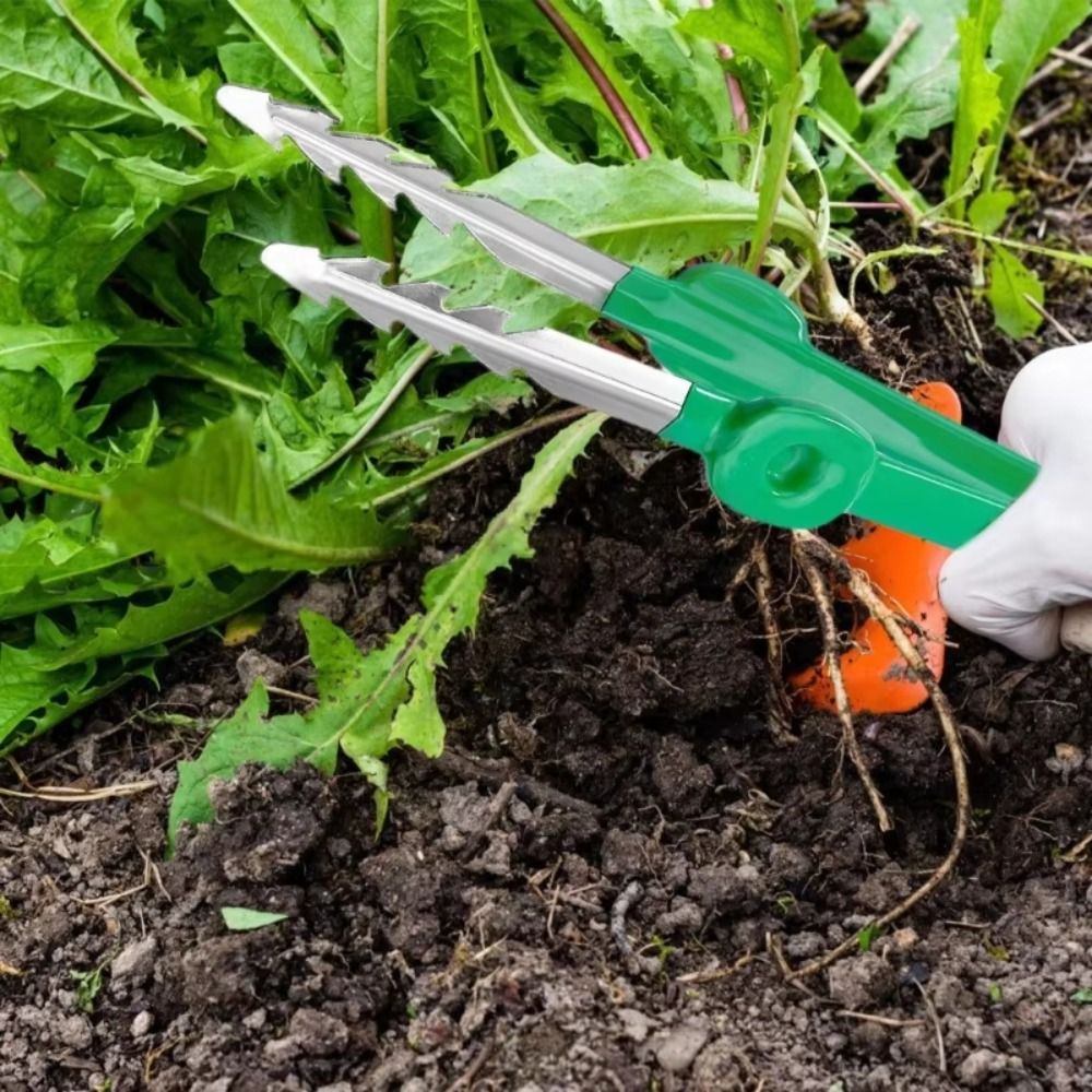 Pinset Berkebun Stainless Stee - Planted Clip Tweezers ulasan dan harga