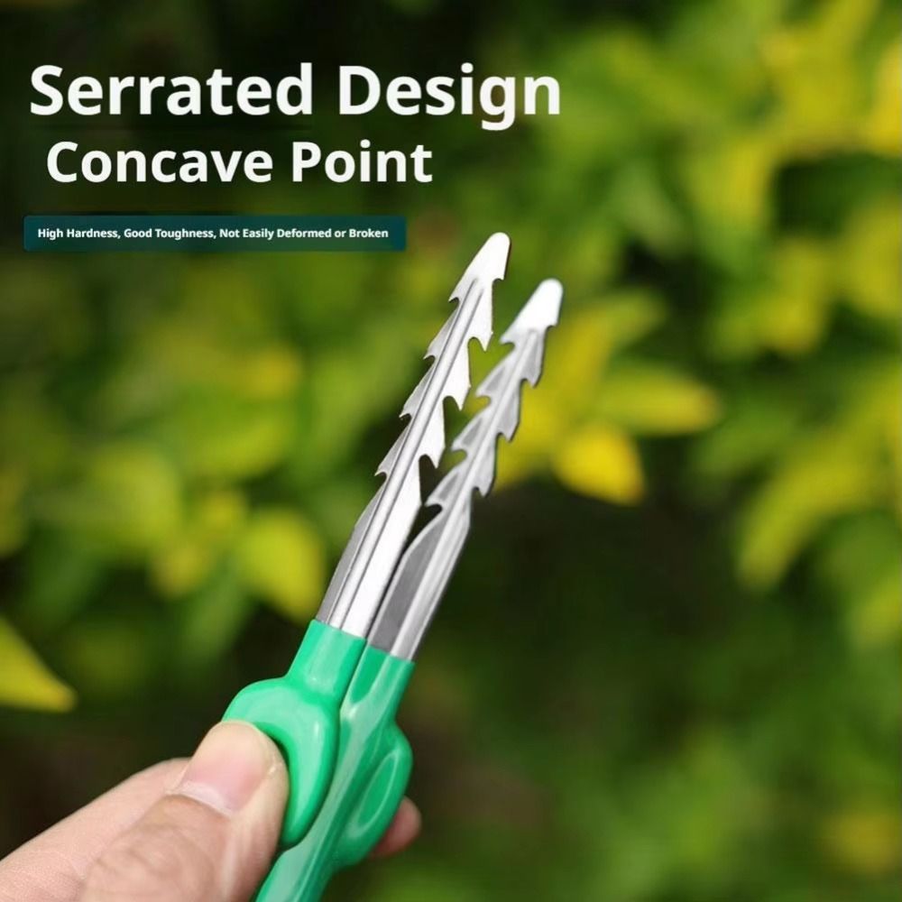Pinset Berkebun Stainless Stee - Planted Clip Tweezers ulasan dan harga