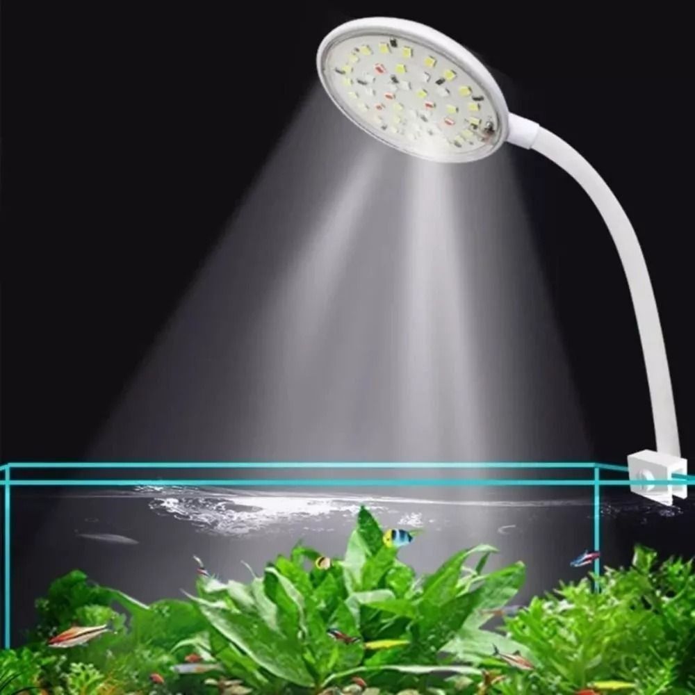 Lampu klip tangki ikan Mini, l - Planted Aquarium Mini ulasan dan harga