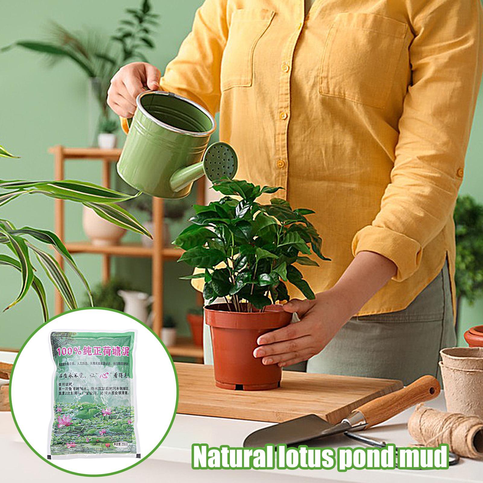 200g/kantong Tanah Akuarium Al - Aquarium Planted Seeds ulasan dan harga