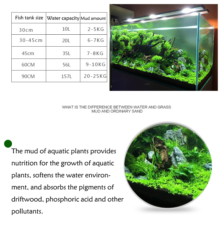 Bibit Tanaman Akuarium Tanah T - Aquarium Planted Sand ulasan dan harga