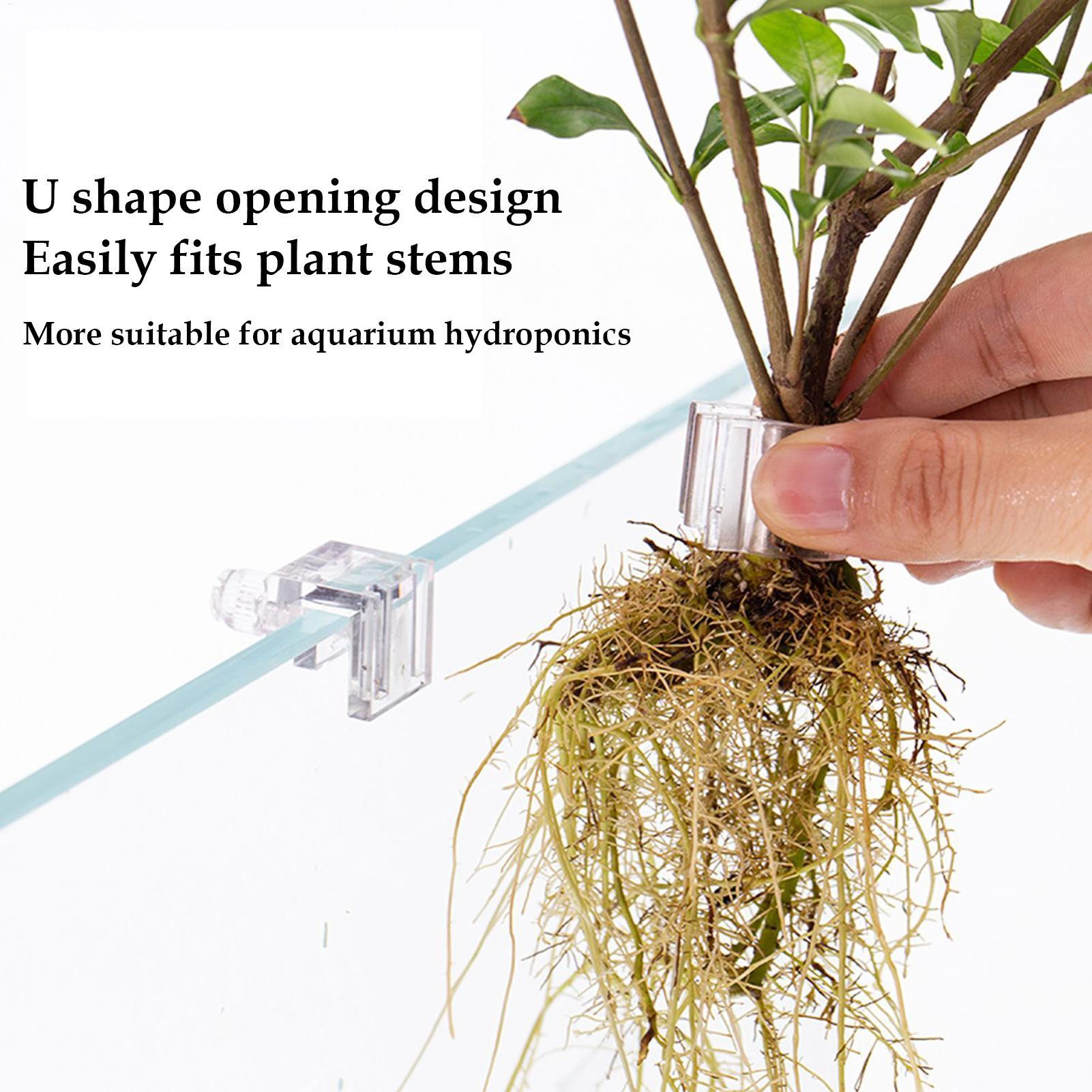 Pot Tanaman Mini untuk Akuariu - Planted Aquarium Mini ulasan dan harga