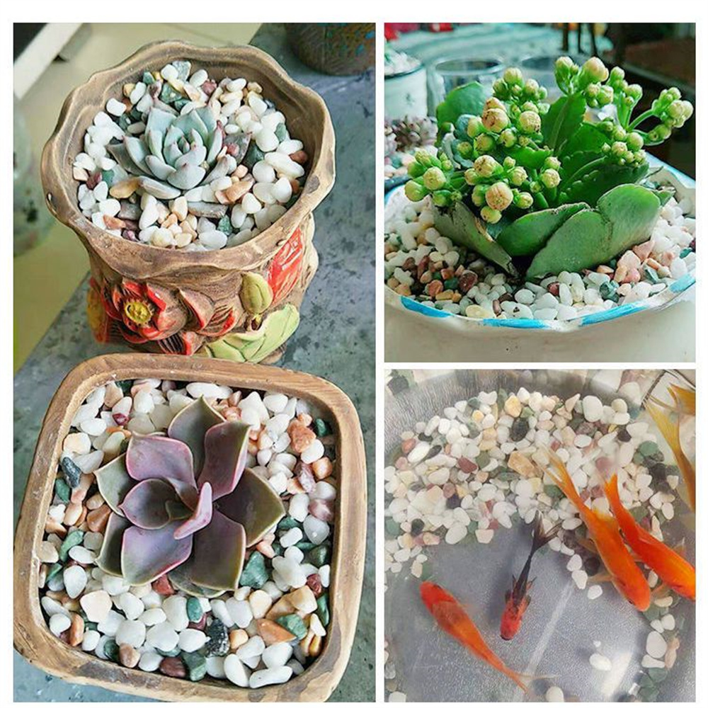 100g Batu Kerikil Kristal Alam - Aquarium Planted Sand ulasan dan harga