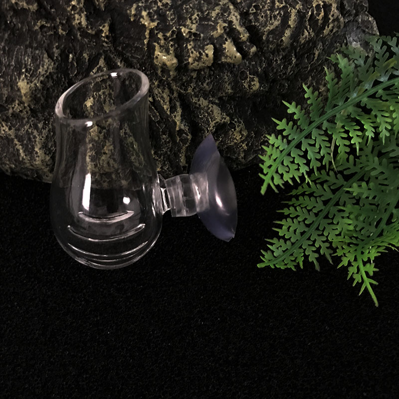 Dekorasi Akuarium Tangki Ikan  - Planted Aquarium Mini ulasan dan harga