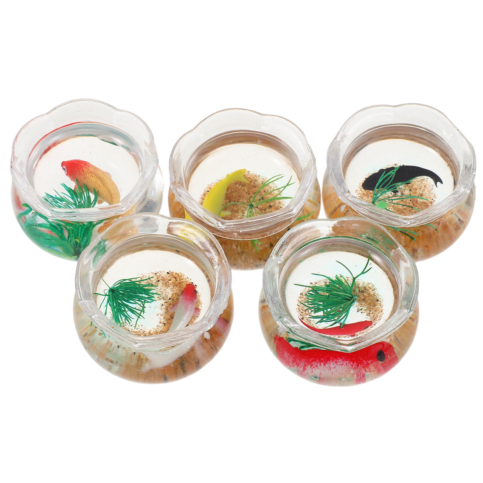 5 Buah Akuarium Mini Berbentuk - Planted Aquarium Mini ulasan dan harga